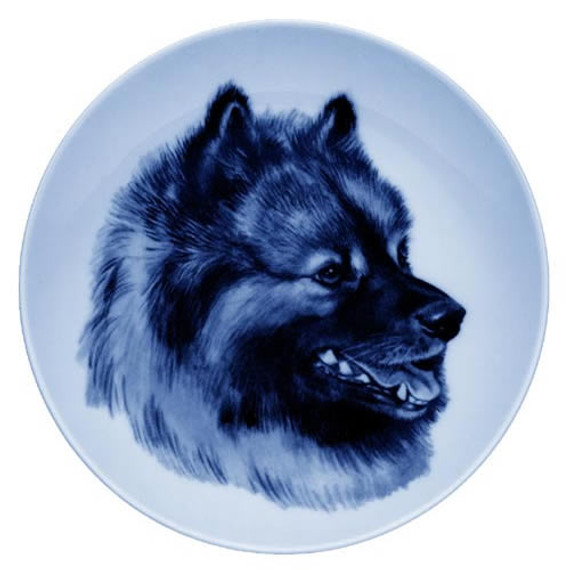 Keeshond dbp07542