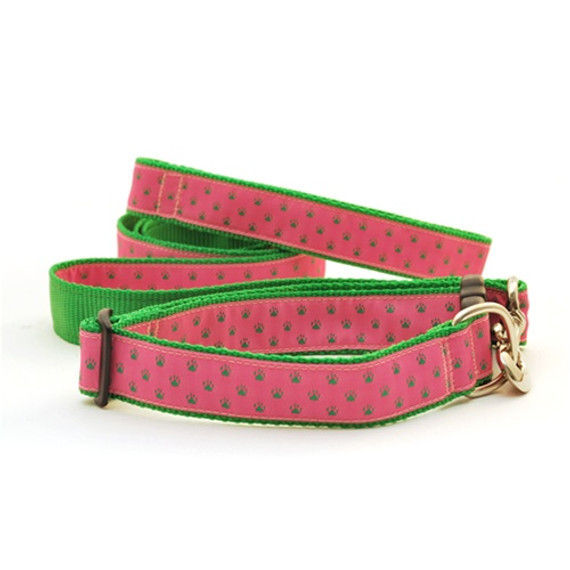 Paws--Green on Pink (Leashes)