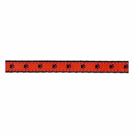 Paws -- Black on Red II  (Collars & Martingales)