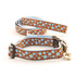 Polka Paws--Light Blue on Brown (Leashes)