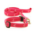 Anchor on Pink (Collars & Martingales)