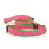 Whale --  Kelly on Pink (Collars & Martingales)