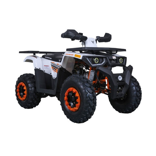 TAO RAPTOR ATV 200CC AUTOMATIC ATV