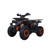 TAO RAPTOR ATV 200CC AUTOMATIC ATV