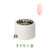 MO Duet - HARD GEL - Love Collection - Cupid