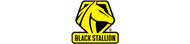 Black Stallion