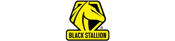 Black Stallion