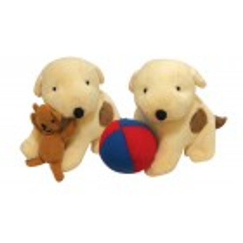 Spot With Teddy Or Ball