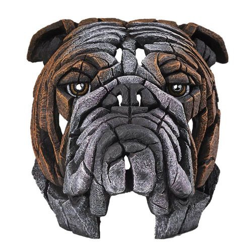 Edge Bulldog Bust H32cm (call Store)