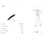 Blunt Neo Lightweight, Compact UPF50+ Umbrella Specifications