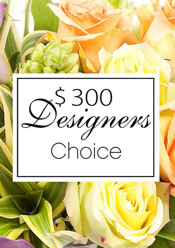 $300 Designer's Choice