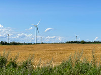Wind power for the windmill and corn field