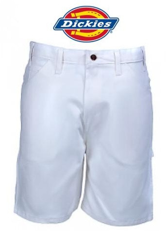 Dickies Painters Shorts 33W