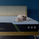 Serta® iComfort® ECO™ Foam F10 Memory Foam Tight Top Mattress - MEDIUM