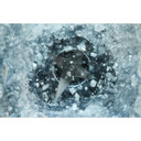 KitchenAid® Pure Power Blender KSB2072BM