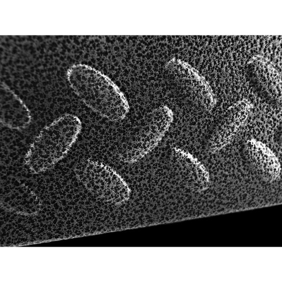 Gladiator® 77" (195.6 cm) Welded Rack GARS774SZG