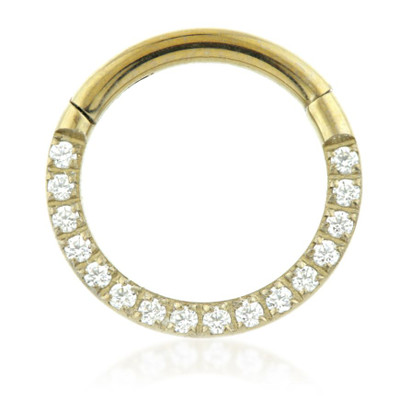 Titanium Gold Jewelled Pavé Hinged Ring