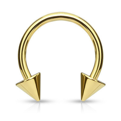 gold titanium circular barbell