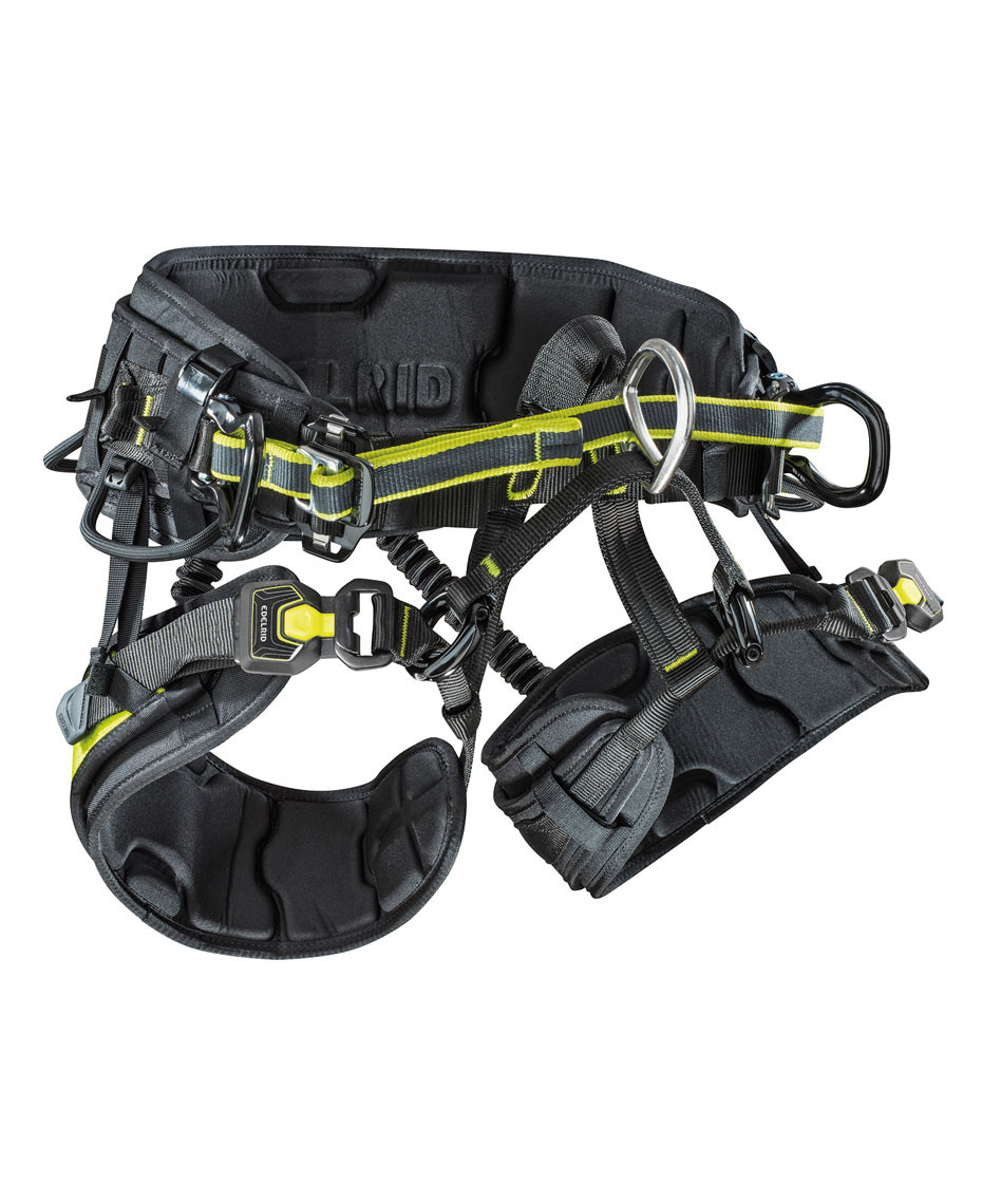 EDELRID TreeRex TripleLock サイズ1 アーボリスト