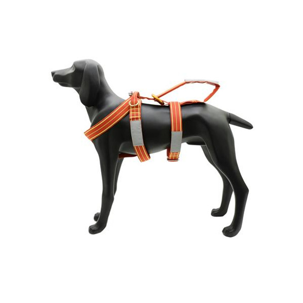 Kong Alp Design LAIT Dog Harness