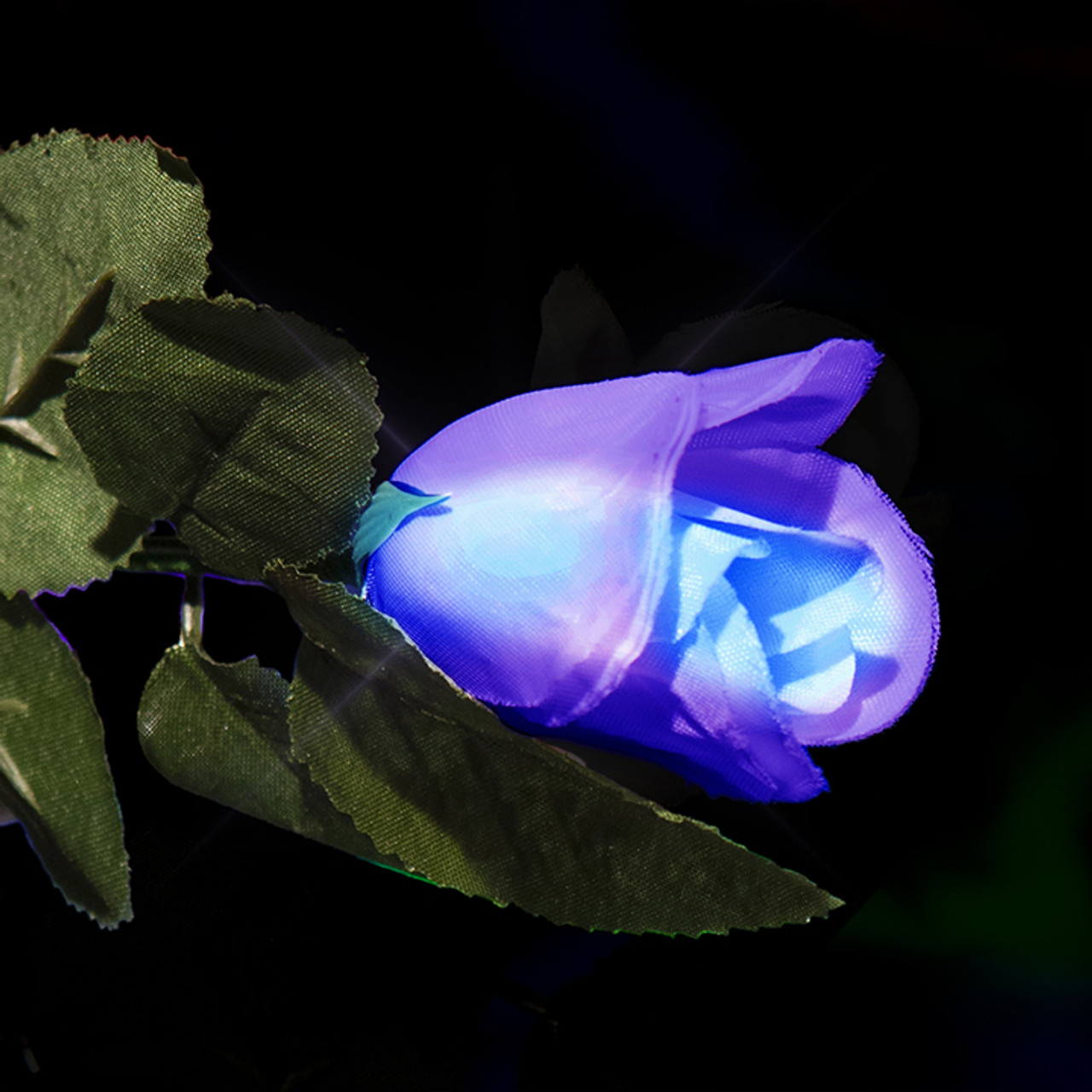 White Petal LED Rose | Decorative Lighting | LED Supplies