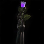 White Petal LED Rose