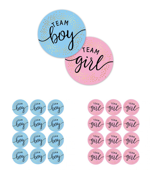 Team Girl and Team Boy Baby Shower Stickers