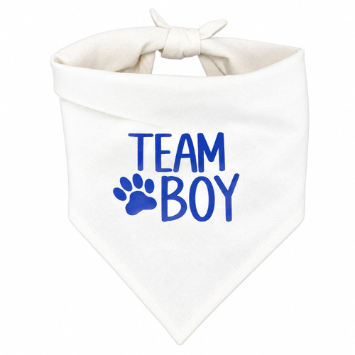 Team Boy Dog Bandana
