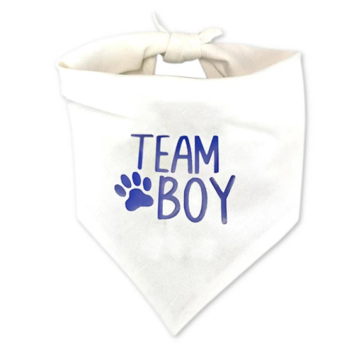 Team Boy Dog Bandana