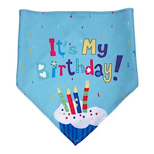 It's My Birthday Blue Dog Bandana