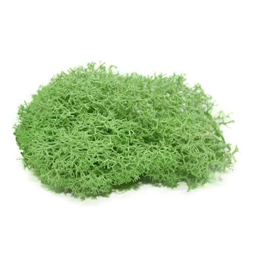 40 grams Artificial Light Green Moss