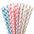 Polka Dot Paper Straws
