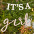 It's a Girl Baby Shower Bunting Banner