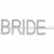 Bride Rhinestone Hair Clip