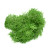 40 grams Artificial Green Moss