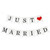 Just Married Bunting Banner