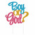 Boy Or Girl Cake Topper