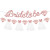 Bride To Be Banners Rose Glitter