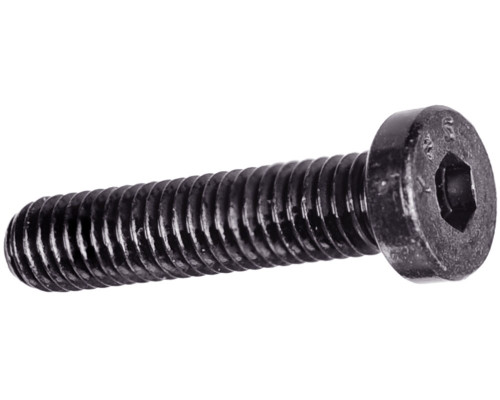 Tippmann Paintball Screw - Alpha Black/TPN 10-32 X 0.840 LHSHCS (TA06015)