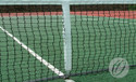 Tennis net adjuster