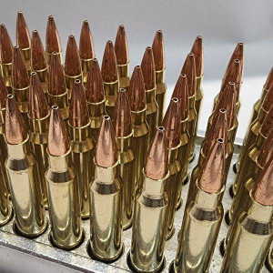 .223 Rem 75 grain Boat Tail Hollow Points (100 Rounds) (Re-Manufactured Ammunition)