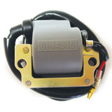 SPX Snowmobile Ignition Coil for Ski-Doo