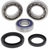 All Balls ATV/UTV Wheel Bearings for Adley