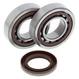 All Balls ATV Crank Bearing Kit