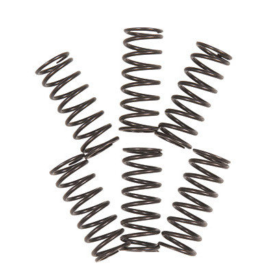 Tusk Clutch Dirt Bike Spring Set - CLOSEOUT