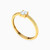 LGR599 - Circle Cubic Zirconia Ring in 18K Gold - 314021800522172-2.jpg