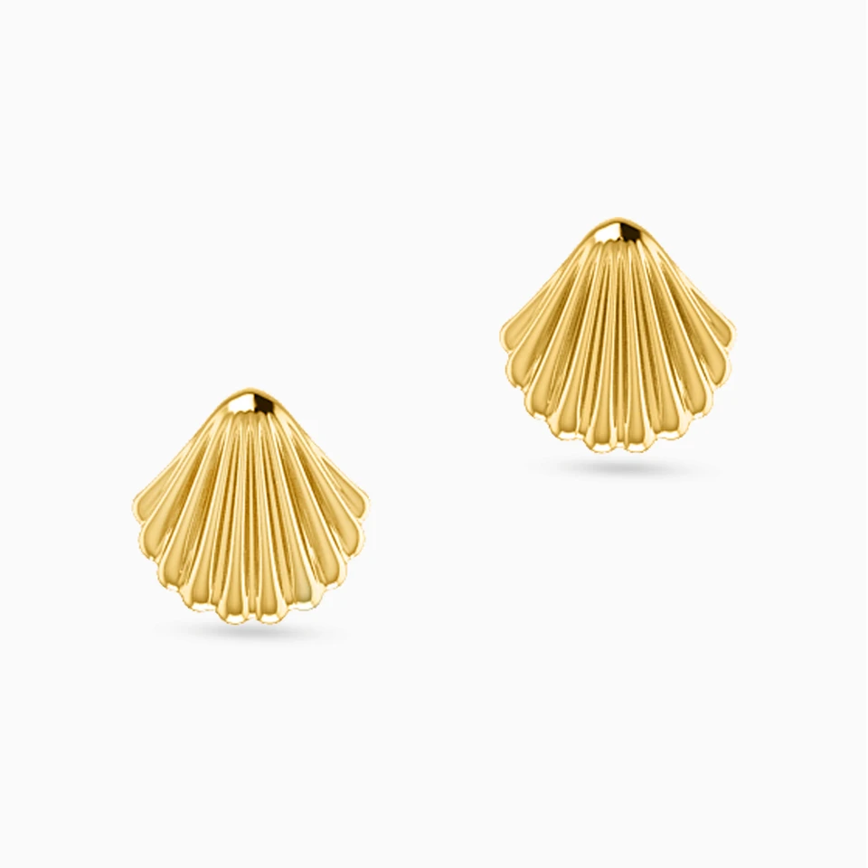 Seashell Stud Earrings in 18K Gold Seashell Stud Earrings in 18K Gold