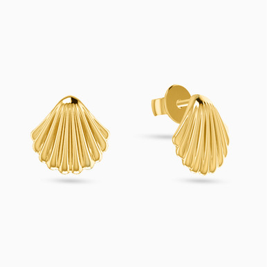 Seashell Stud Earrings in 18K Gold - 21051110164