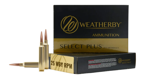 WTHBY B25RPM117LRX 25WBY RPM 117G BARNES LRX 20/10