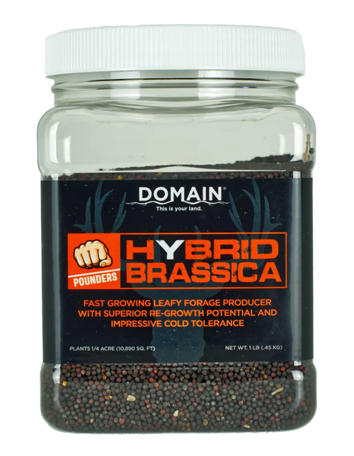 DOMAIN DHBS1LB     POUNDER - HYBRID BRASSICA